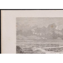 Gravure de 1865 - Bratislava (Slovaquie) - 2