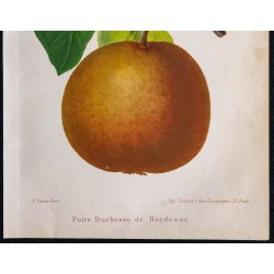 1868 - Poire Duchesse de Bordeaux 