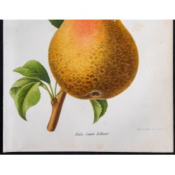 1868 - Poire Comte Lelieur 