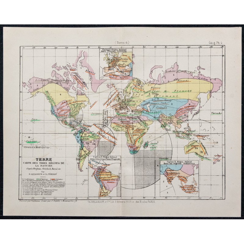 1874 - Carte des trois règnes de la nature 