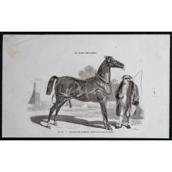 1861 - Cheval carrossier du Yorkshire 