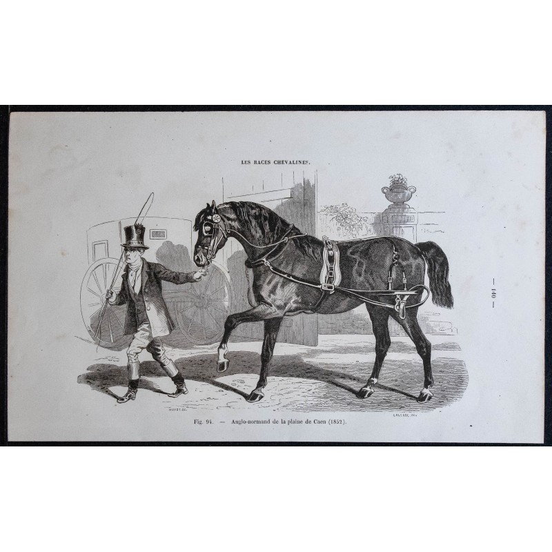 1861 - Cheval anglo-normand 