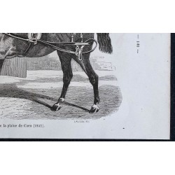 1861 - Cheval anglo-normand 