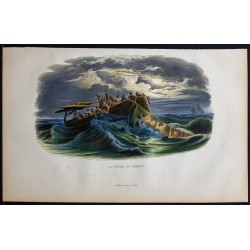 1855 - La Pêche du Hareng 