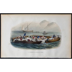 1855 - La madrague ou pêche du thon 